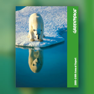 Annual report cover for Greenpeace showing a polar bear on the edge of an iceberg.